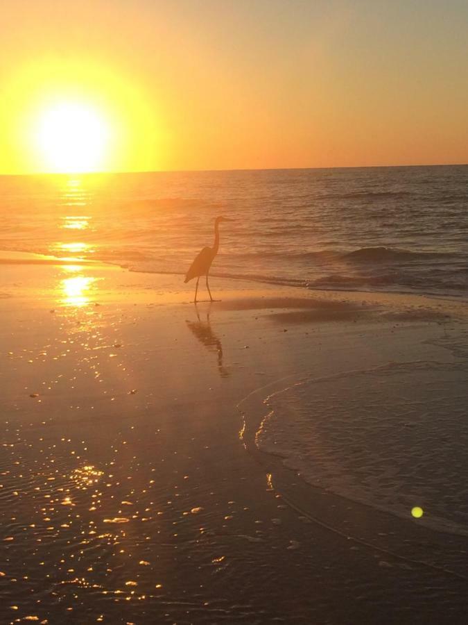Romantic Condo For 2-Sunset Harbor Palms 1-205, Pool, Fishing Pier نافار المظهر الخارجي الصورة